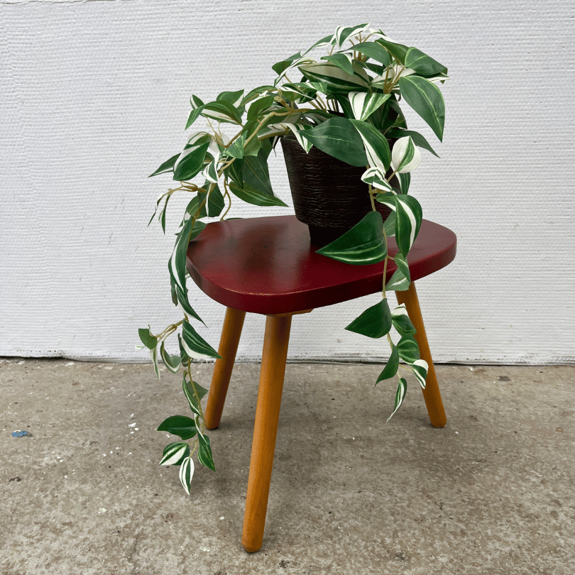 Plantentafeltje – bordeauxrood | jaren ‘50 - Afbeelding 2