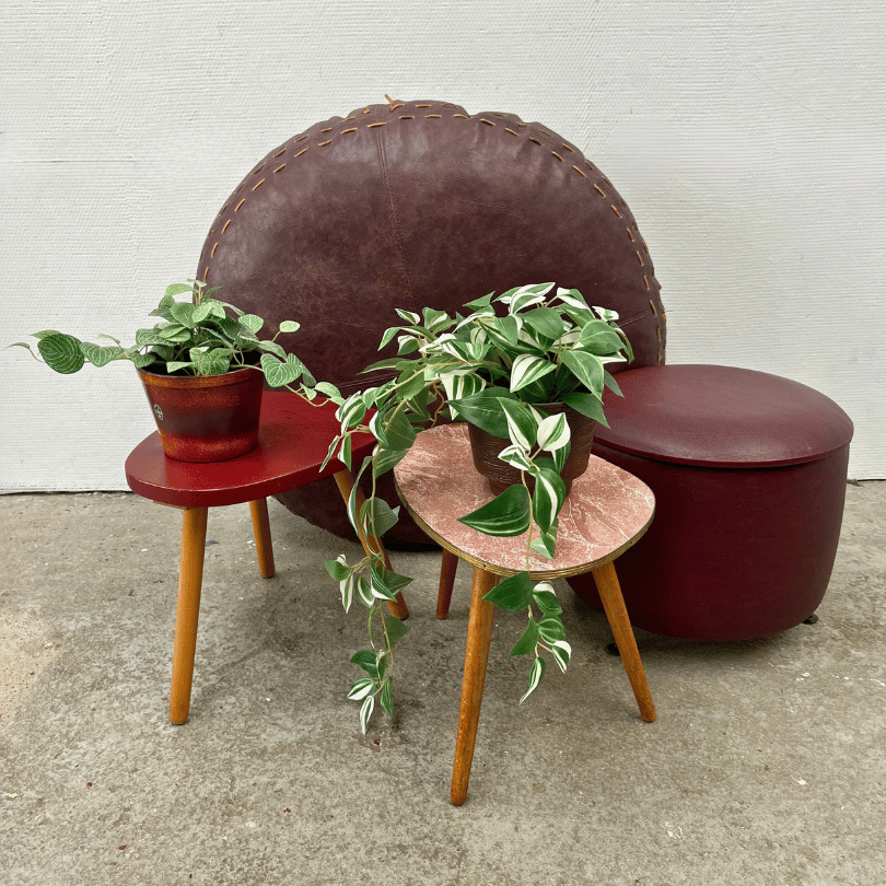 Plantentafeltje – bordeauxrood | jaren ‘50 - Afbeelding 6