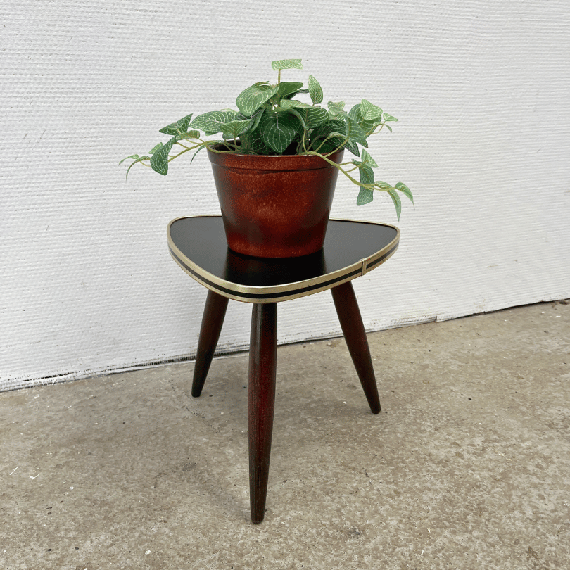 Plantentafeltje – zwart| jaren ‘50 - Afbeelding 4